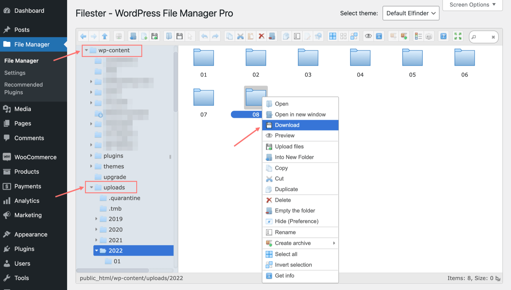 How to download WordPress image uploads folder with Filester