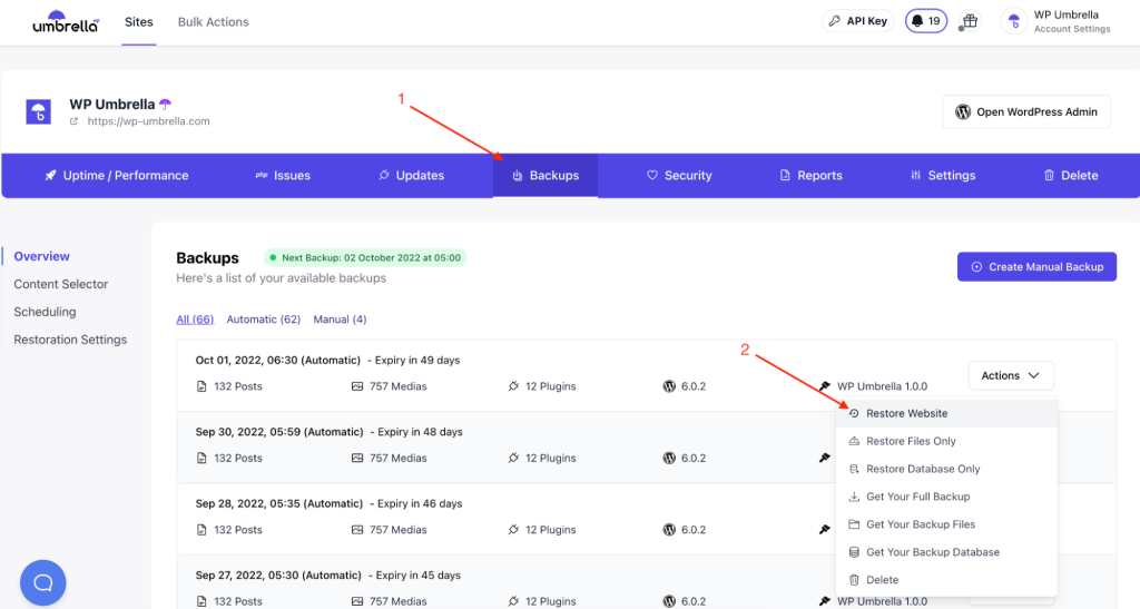 WP Umbrella Dashboard with scheduled backups