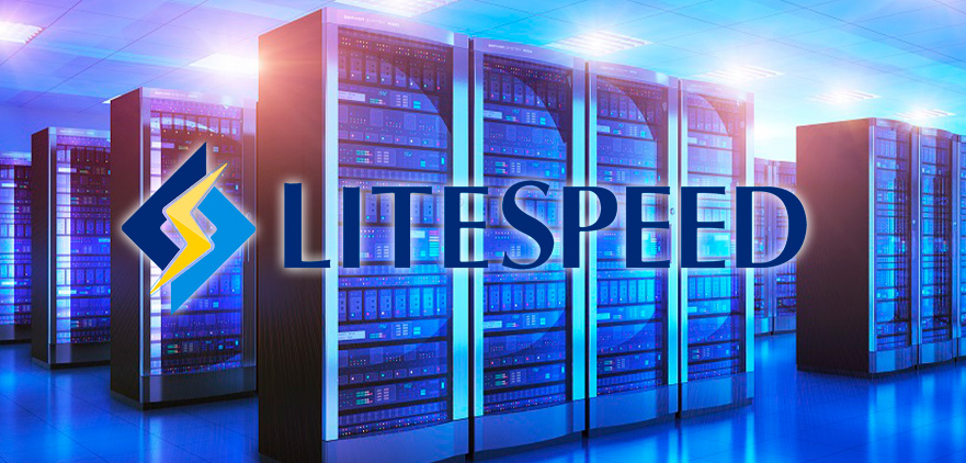LifeSpeed - web server sofware
