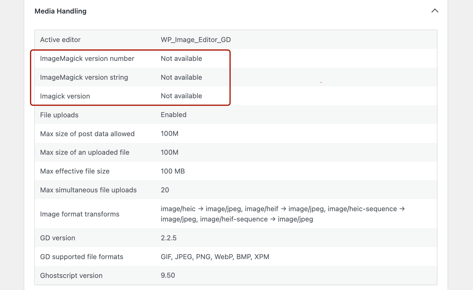 Detecting media handling ImageMagick not supported