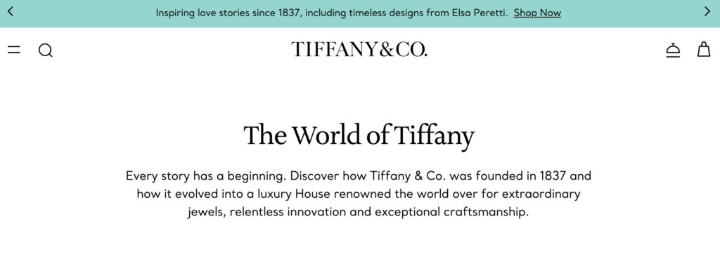 The Introduction in About Page Example